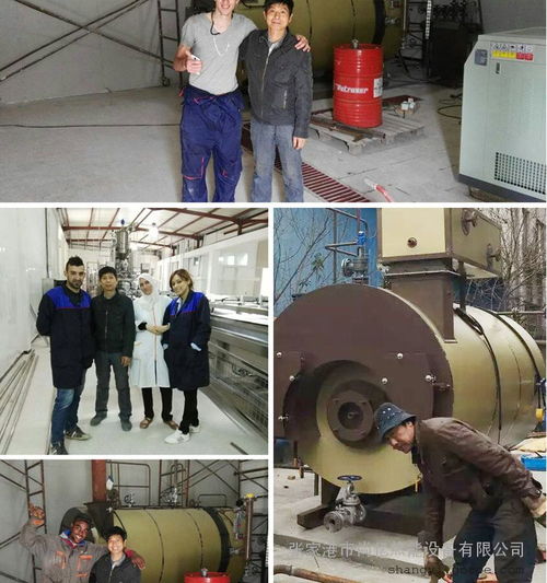 卧式智能化免检验燃气蒸汽锅炉 价格与选购指南